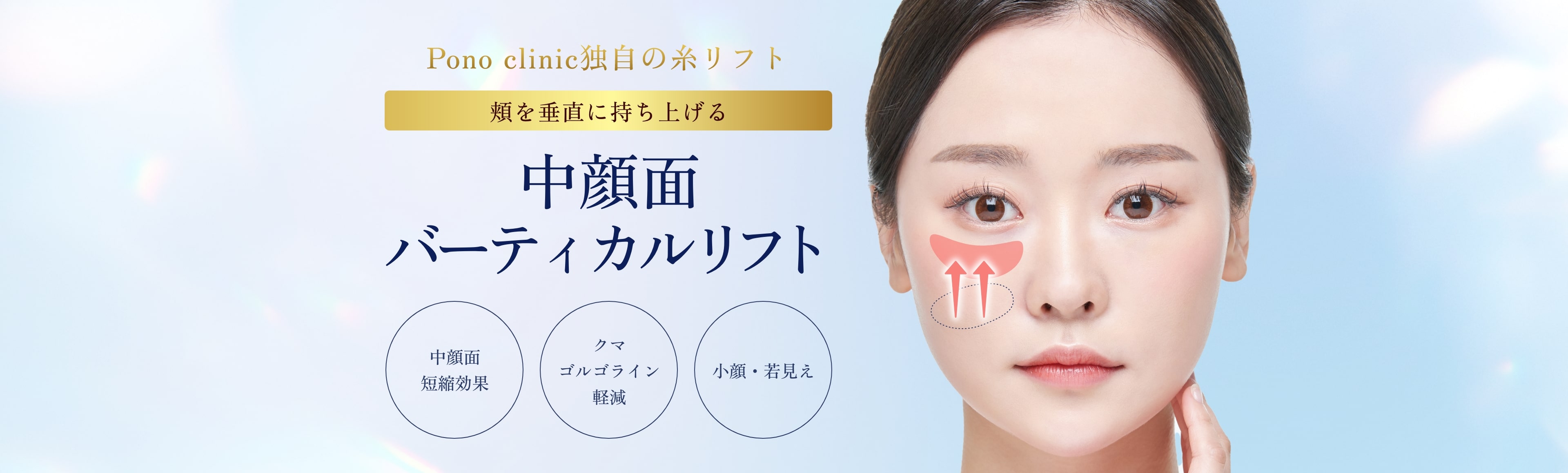 中顔面バーティカルリフト-一覧