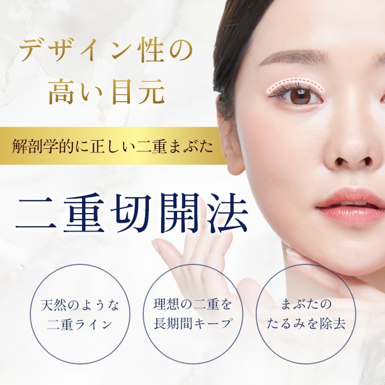 二重切開法-mv-sp