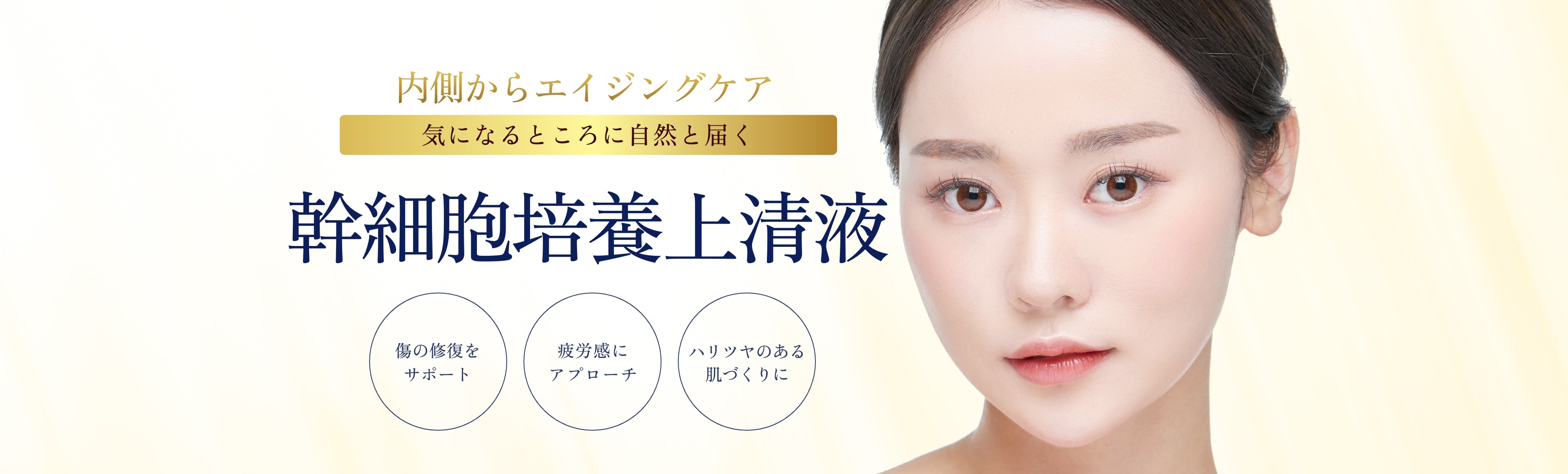 幹細胞培養上清液PC