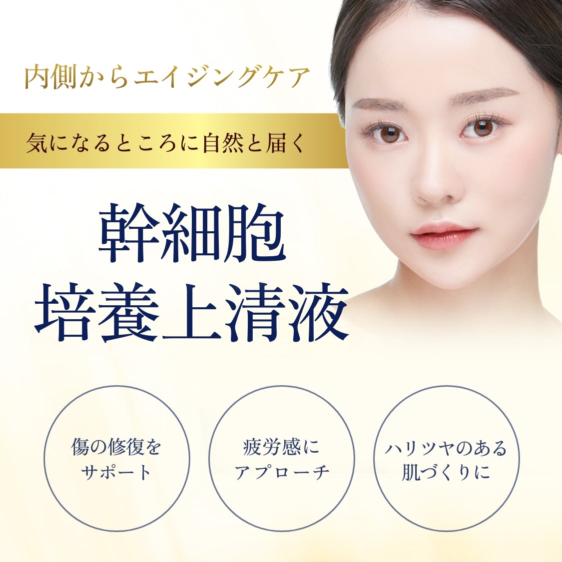 幹細胞培養上清液SP