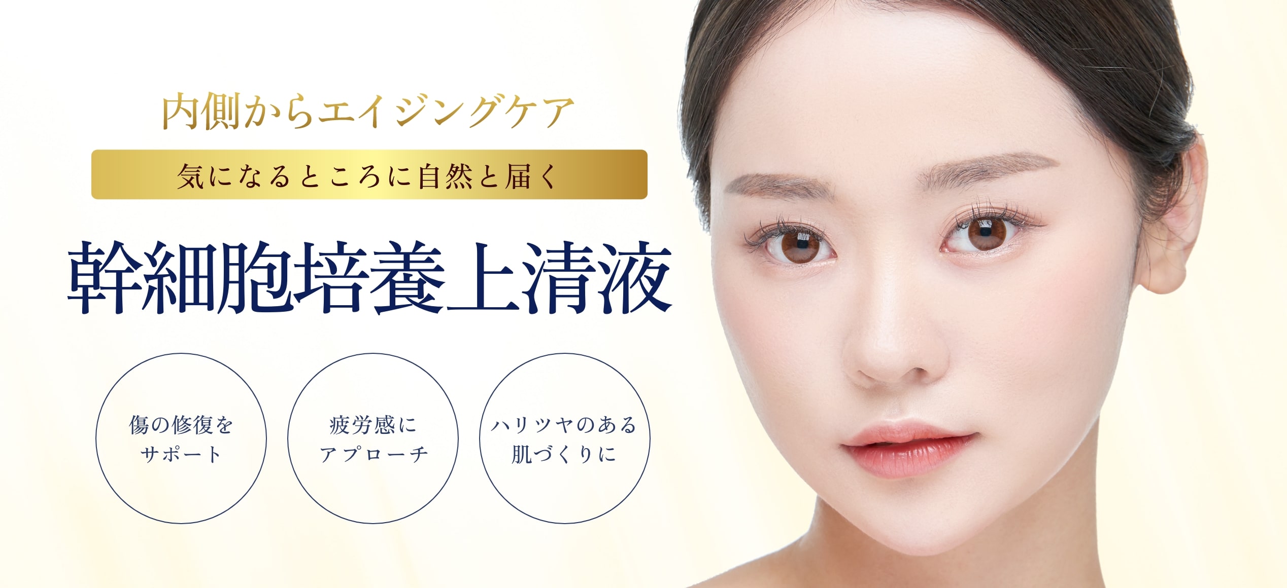 幹細胞培養上清液