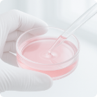 幹細胞培養上清液